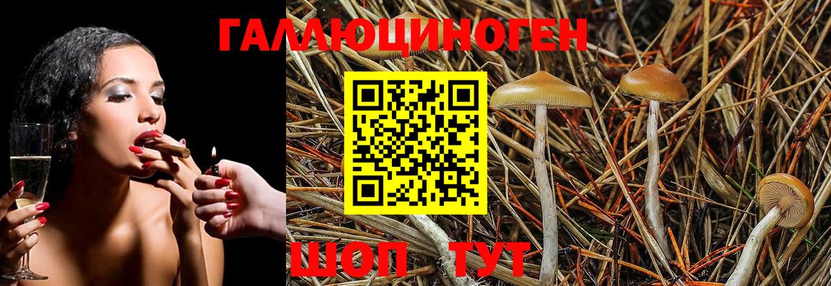 Рассказово  Псилоцибиновые грибы GOLDEN TEACHER  Вход с VPN 