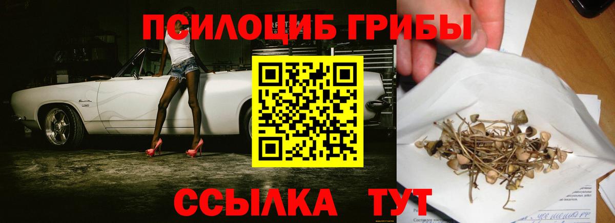Галлюциногенные грибы ЛСД Рассказово
